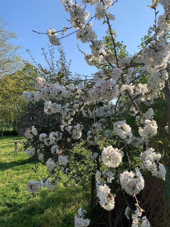 Cascina Bellaria Pansiyon Milano Dış mekan fotoğraf